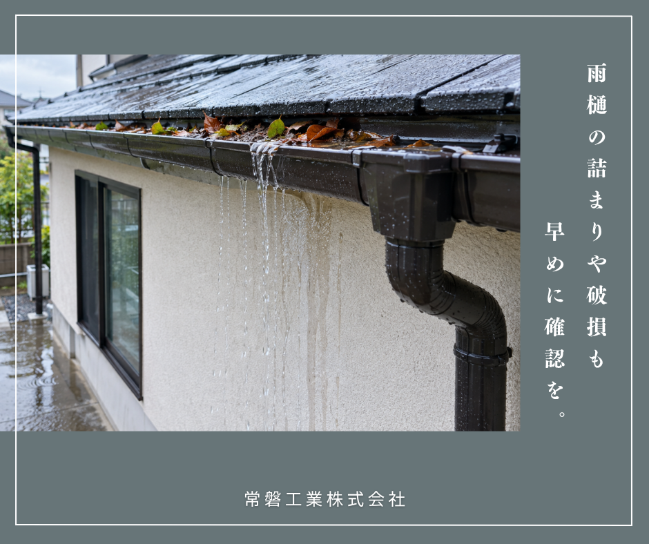 雨樋の詰まり